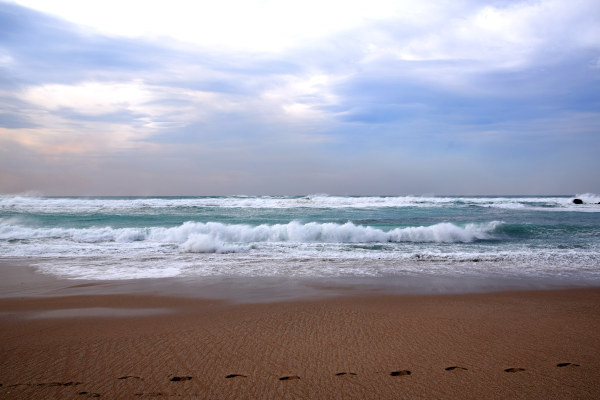 mer traumatisme DSC 0119