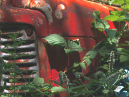 au revoir petit tracteur rouge DSC 0207