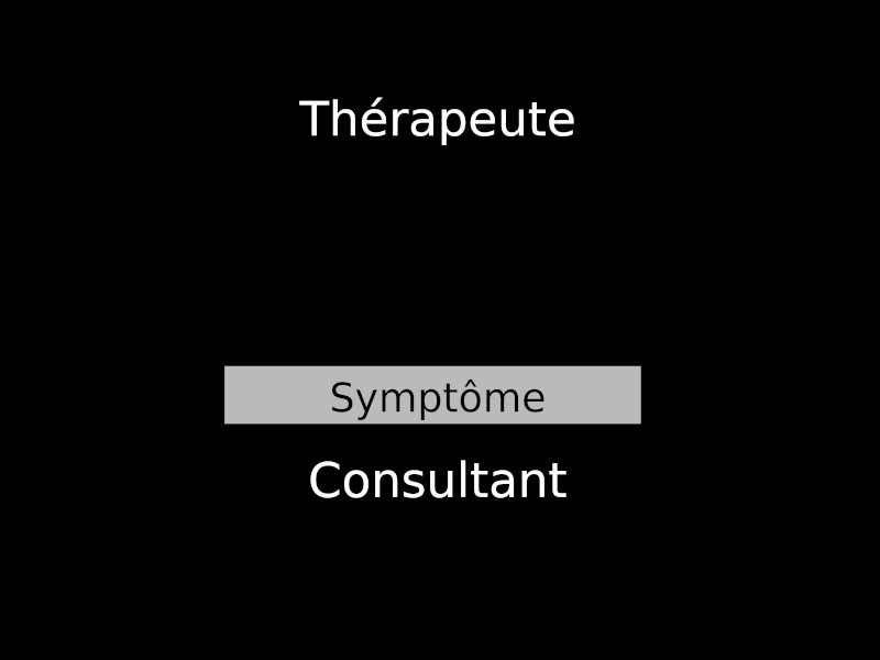 theapeute consultant