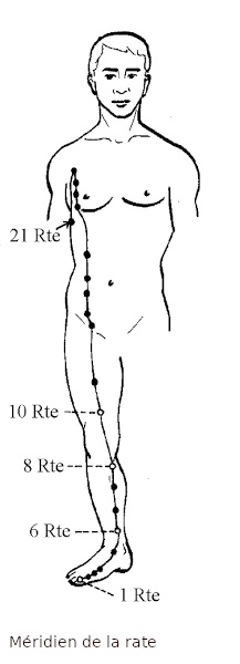 terre rate