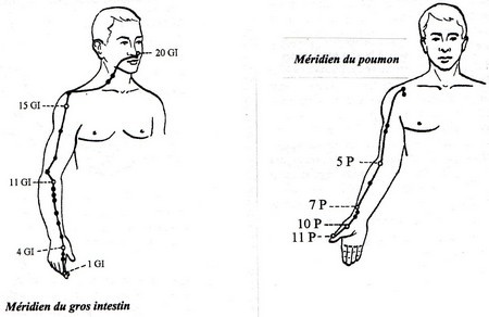 méridiens poumon GI